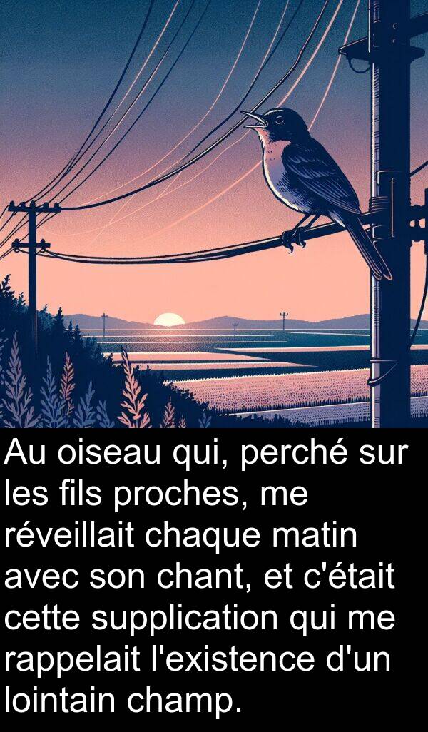oiseau: Au oiseau qui, perché sur les fils proches, me réveillait chaque matin avec son chant, et c'était cette supplication qui me rappelait l'existence d'un lointain champ.