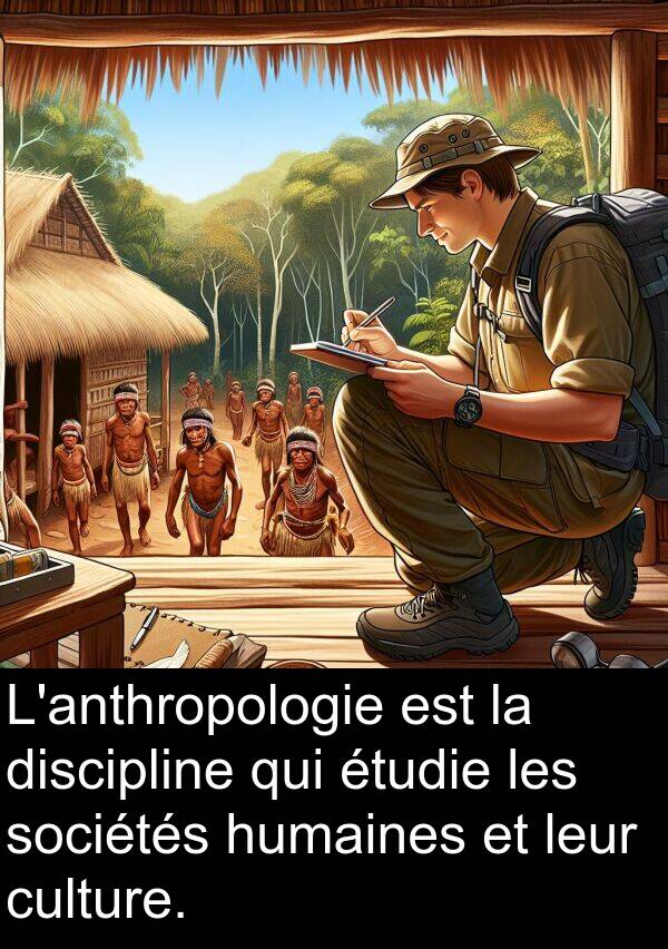 humaines: L'anthropologie est la discipline qui étudie les sociétés humaines et leur culture.
