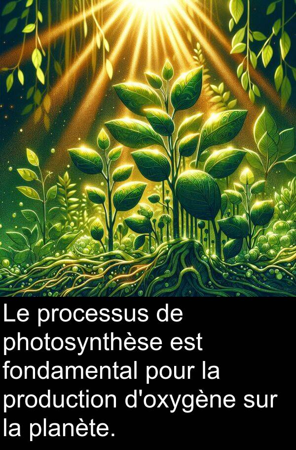 processus: Le processus de photosynthèse est fondamental pour la production d'oxygène sur la planète.