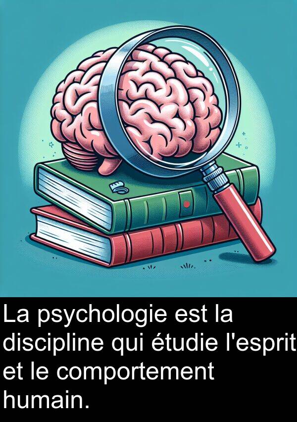 comportement: La psychologie est la discipline qui étudie l'esprit et le comportement humain.