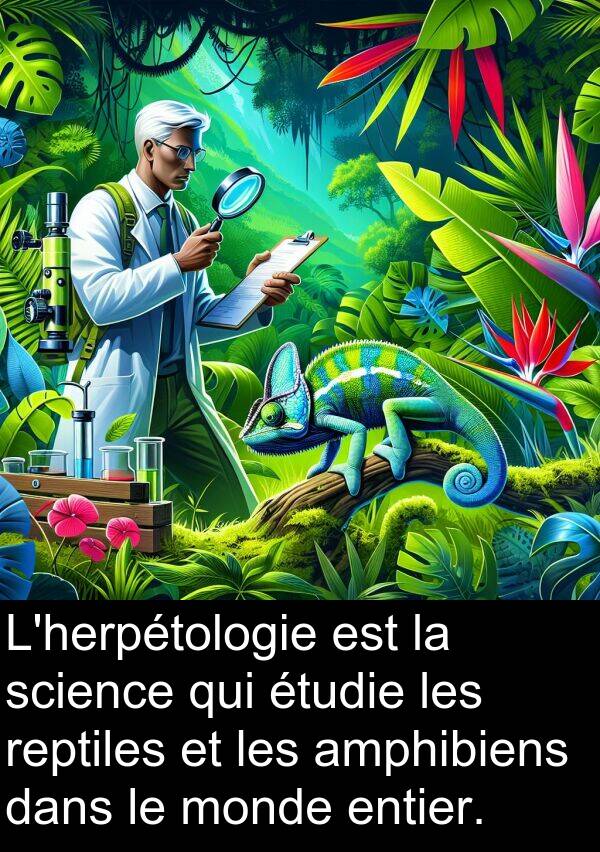 reptiles: L'herpétologie est la science qui étudie les reptiles et les amphibiens dans le monde entier.