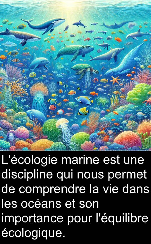 océans: L'écologie marine est une discipline qui nous permet de comprendre la vie dans les océans et son importance pour l'équilibre écologique.