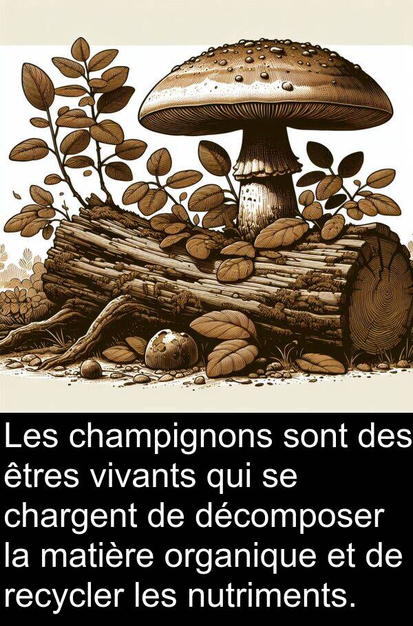 décomposer: Les champignons sont des êtres vivants qui se chargent de décomposer la matière organique et de recycler les nutriments.