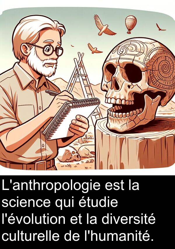 diversité: L'anthropologie est la science qui étudie l'évolution et la diversité culturelle de l'humanité.