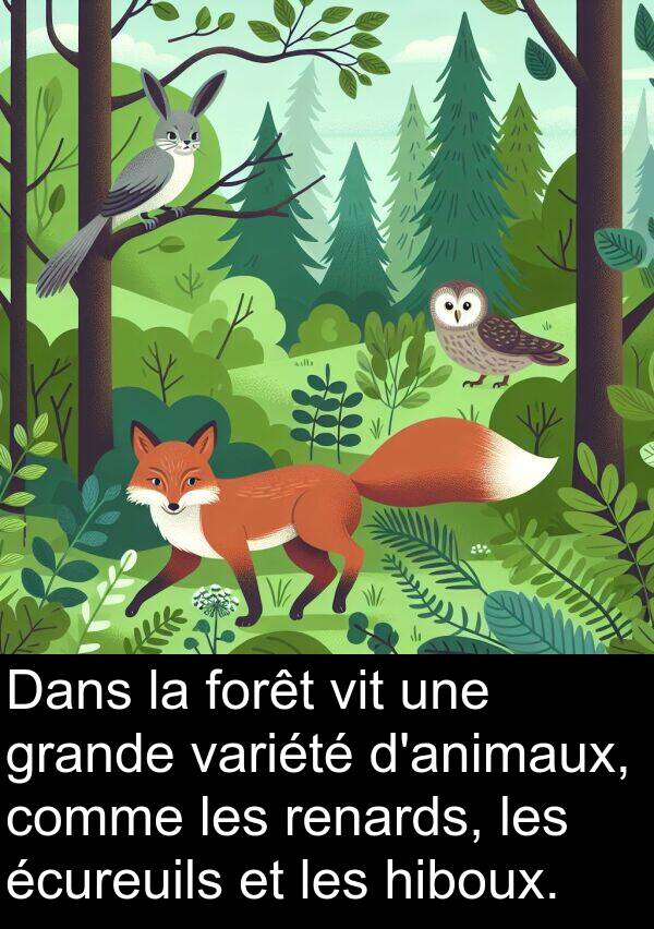 écureuils: Dans la forêt vit une grande variété d'animaux, comme les renards, les écureuils et les hiboux.