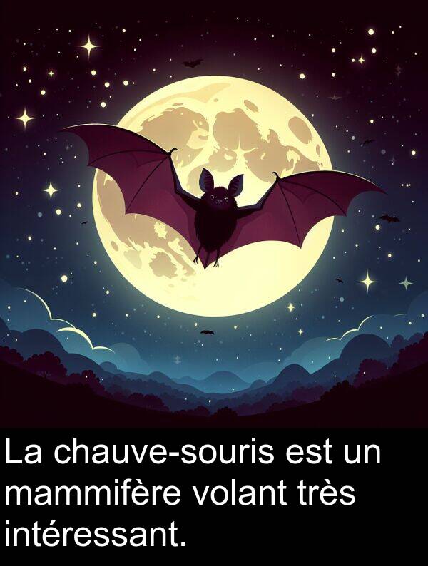 volant: La chauve-souris est un mammifère volant très intéressant.
