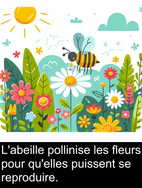 reproduire: L'abeille pollinise les fleurs pour qu'elles puissent se reproduire.