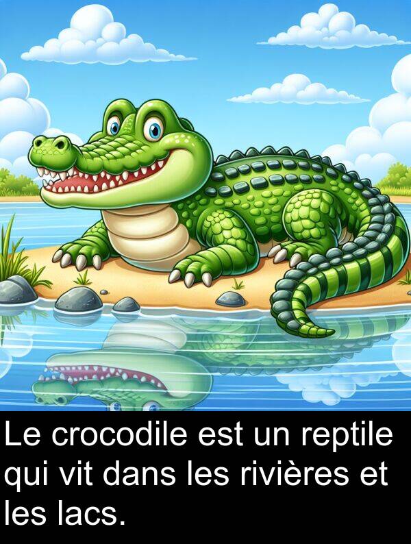 reptile: Le crocodile est un reptile qui vit dans les rivières et les lacs.