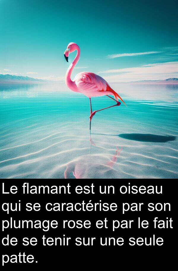 tenir: Le flamant est un oiseau qui se caractérise par son plumage rose et par le fait de se tenir sur une seule patte.