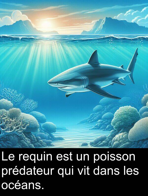 océans: Le requin est un poisson prédateur qui vit dans les océans.