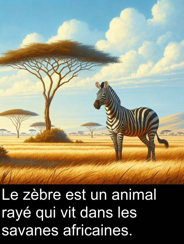 savanes: Le zèbre est un animal rayé qui vit dans les savanes africaines.
