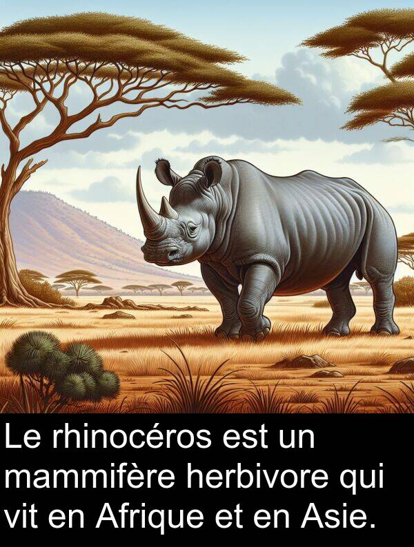 herbivore: Le rhinocéros est un mammifère herbivore qui vit en Afrique et en Asie.