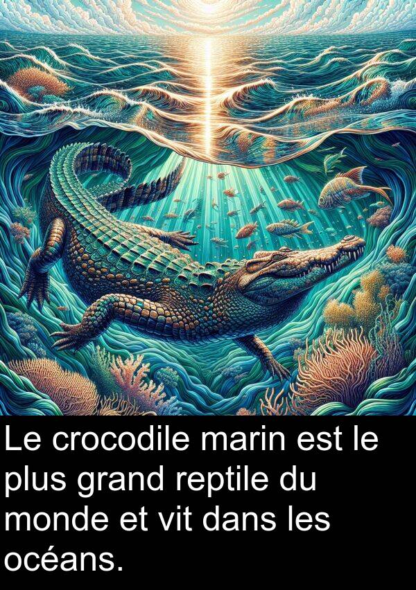 océans: Le crocodile marin est le plus grand reptile du monde et vit dans les océans.