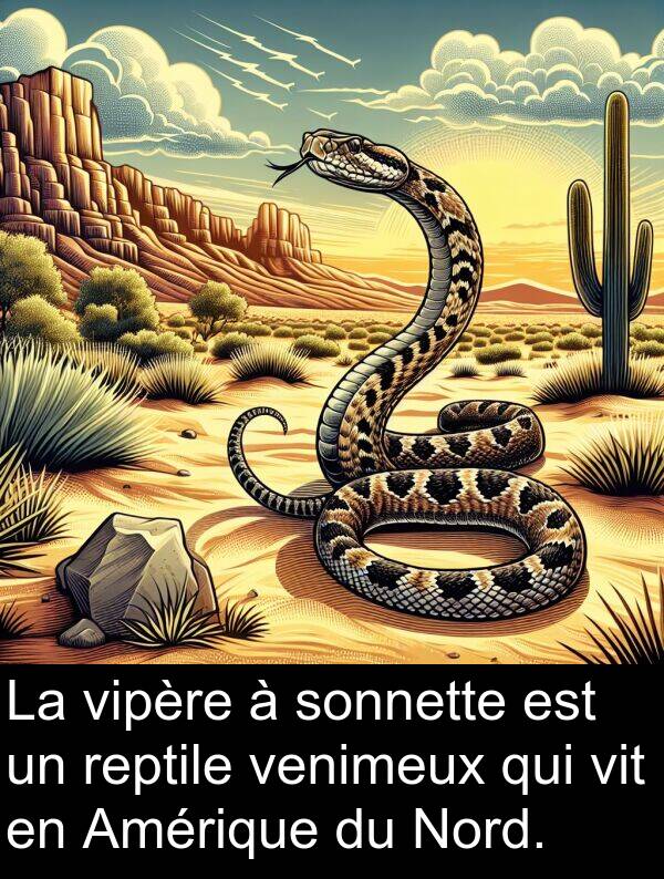 venimeux: La vipère à sonnette est un reptile venimeux qui vit en Amérique du Nord.