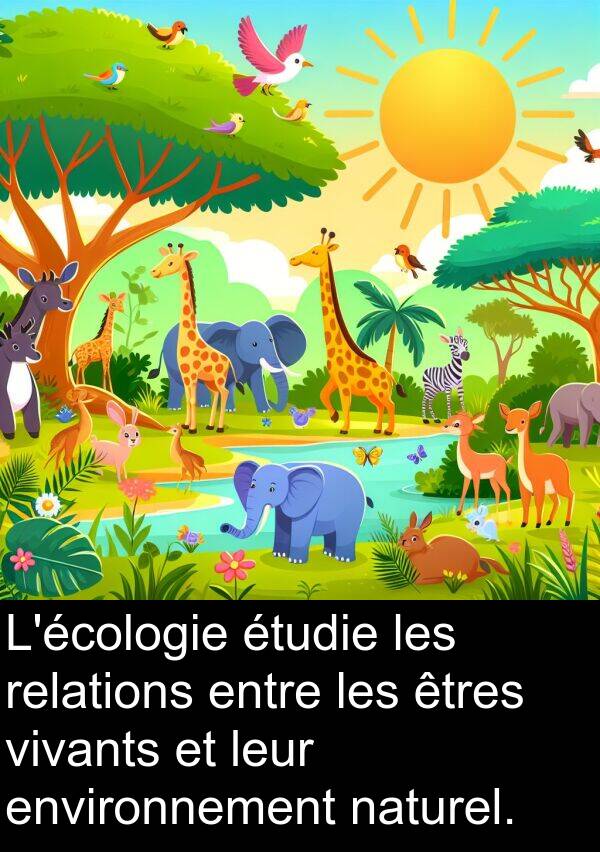 vivants: L'écologie étudie les relations entre les êtres vivants et leur environnement naturel.