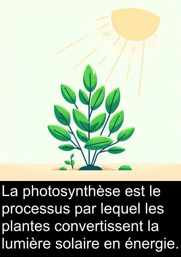 convertissent: La photosynthèse est le processus par lequel les plantes convertissent la lumière solaire en énergie.