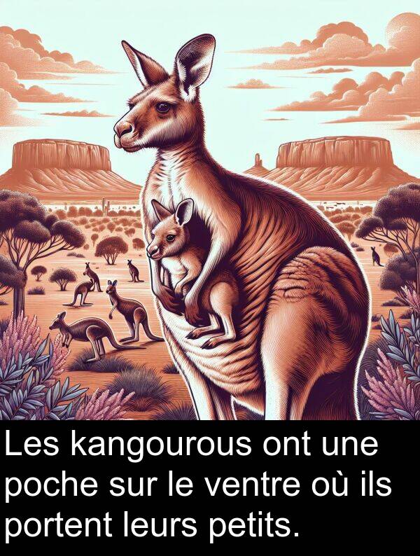 leurs: Les kangourous ont une poche sur le ventre où ils portent leurs petits.