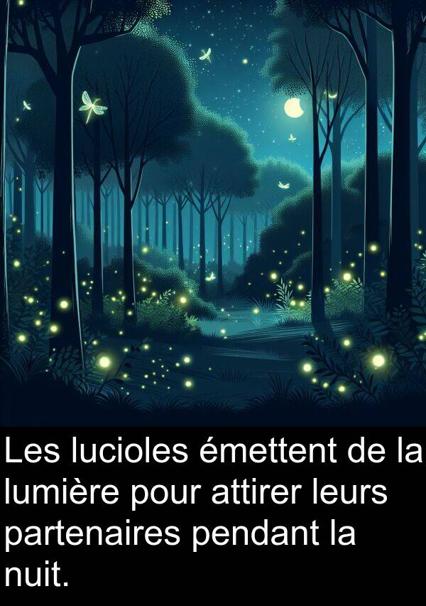 leurs: Les lucioles émettent de la lumière pour attirer leurs partenaires pendant la nuit.
