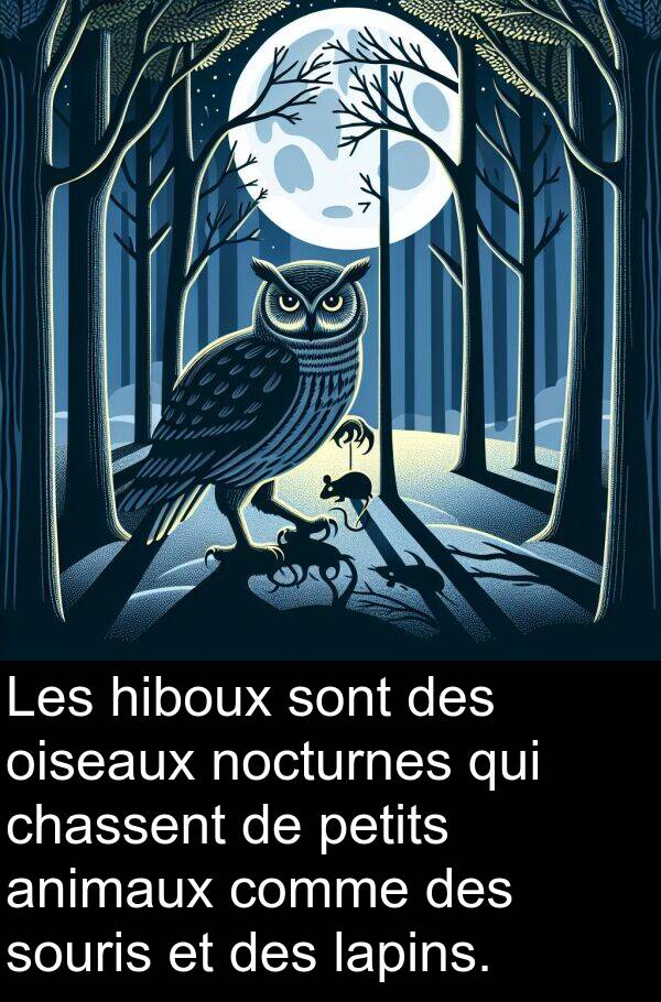 hiboux: Les hiboux sont des oiseaux nocturnes qui chassent de petits animaux comme des souris et des lapins.