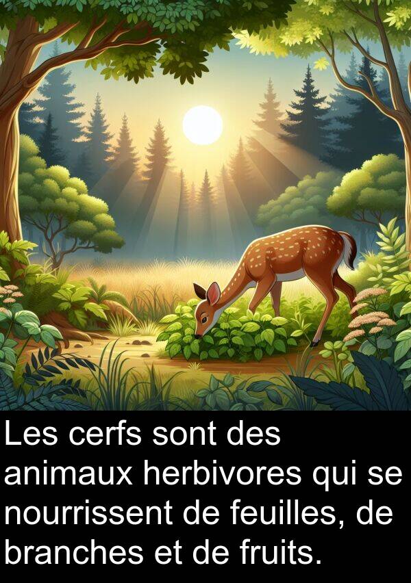 branches: Les cerfs sont des animaux herbivores qui se nourrissent de feuilles, de branches et de fruits.