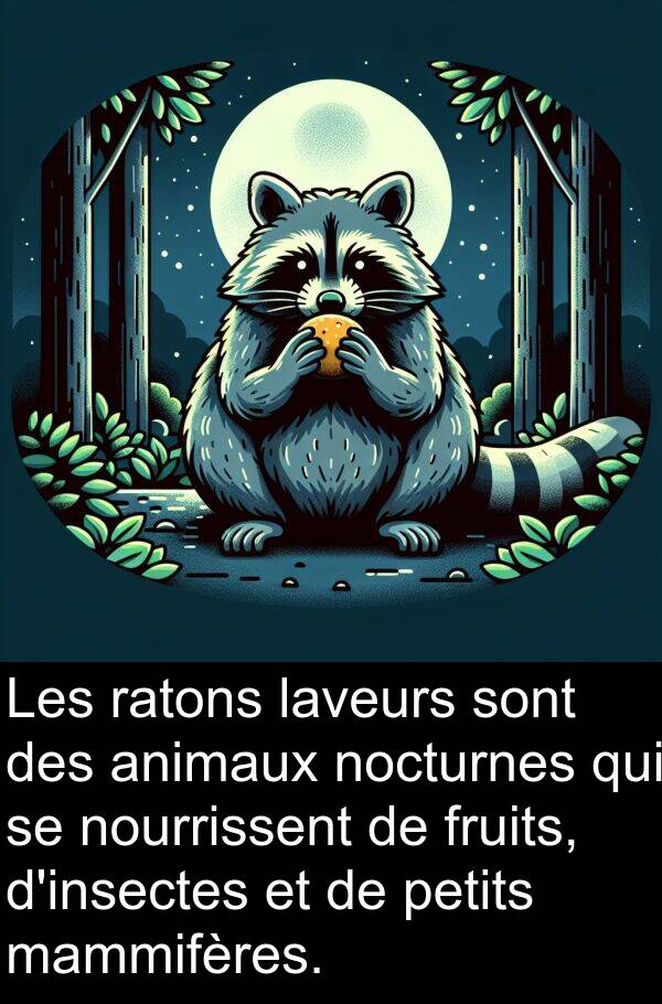 laveurs: Les ratons laveurs sont des animaux nocturnes qui se nourrissent de fruits, d'insectes et de petits mammifères.