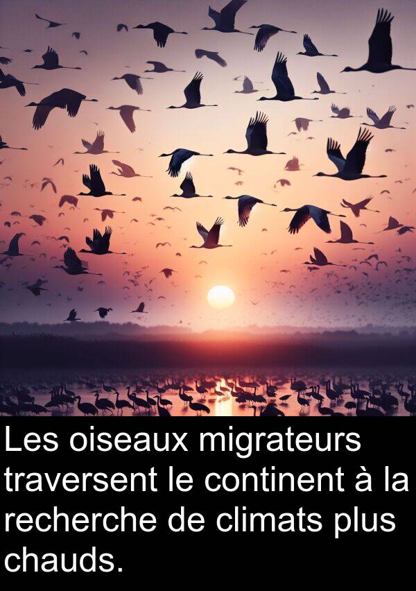 migrateurs: Les oiseaux migrateurs traversent le continent à la recherche de climats plus chauds.