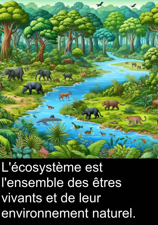 vivants: L'écosystème est l'ensemble des êtres vivants et de leur environnement naturel.