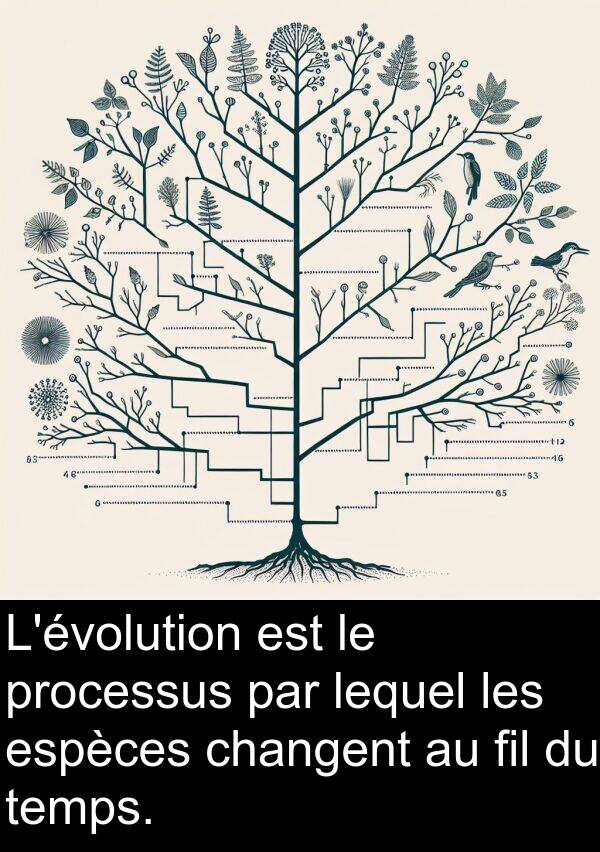 temps: L'évolution est le processus par lequel les espèces changent au fil du temps.