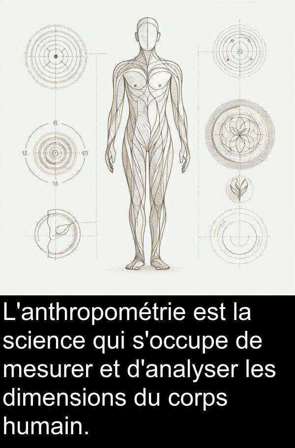 corps: L'anthropométrie est la science qui s'occupe de mesurer et d'analyser les dimensions du corps humain.
