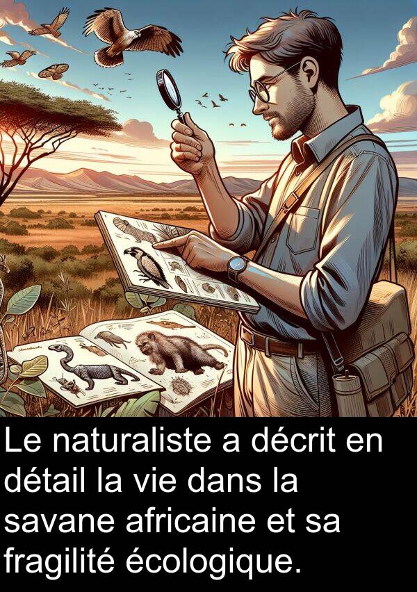 savane: Le naturaliste a décrit en détail la vie dans la savane africaine et sa fragilité écologique.