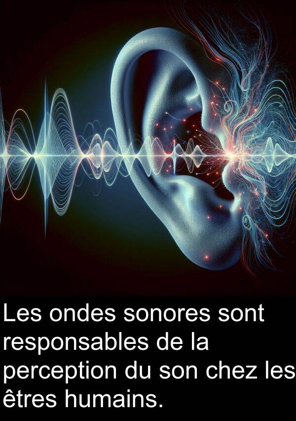 ondes: Les ondes sonores sont responsables de la perception du son chez les êtres humains.