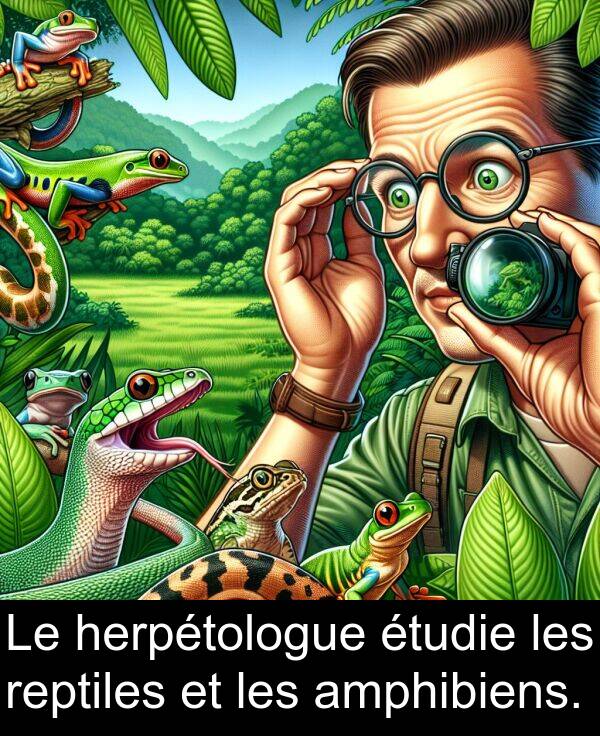 herpétologue: Le herpétologue étudie les reptiles et les amphibiens.