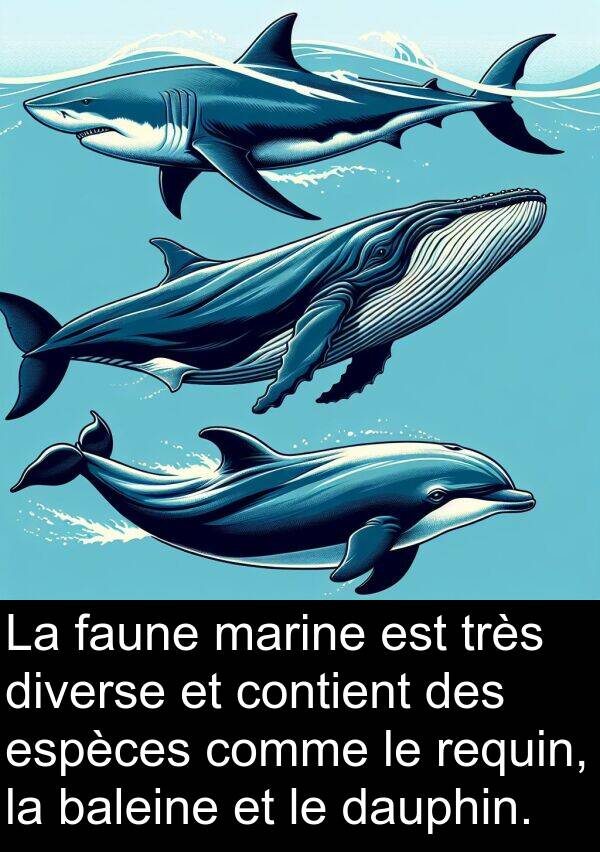 baleine: La faune marine est très diverse et contient des espèces comme le requin, la baleine et le dauphin.