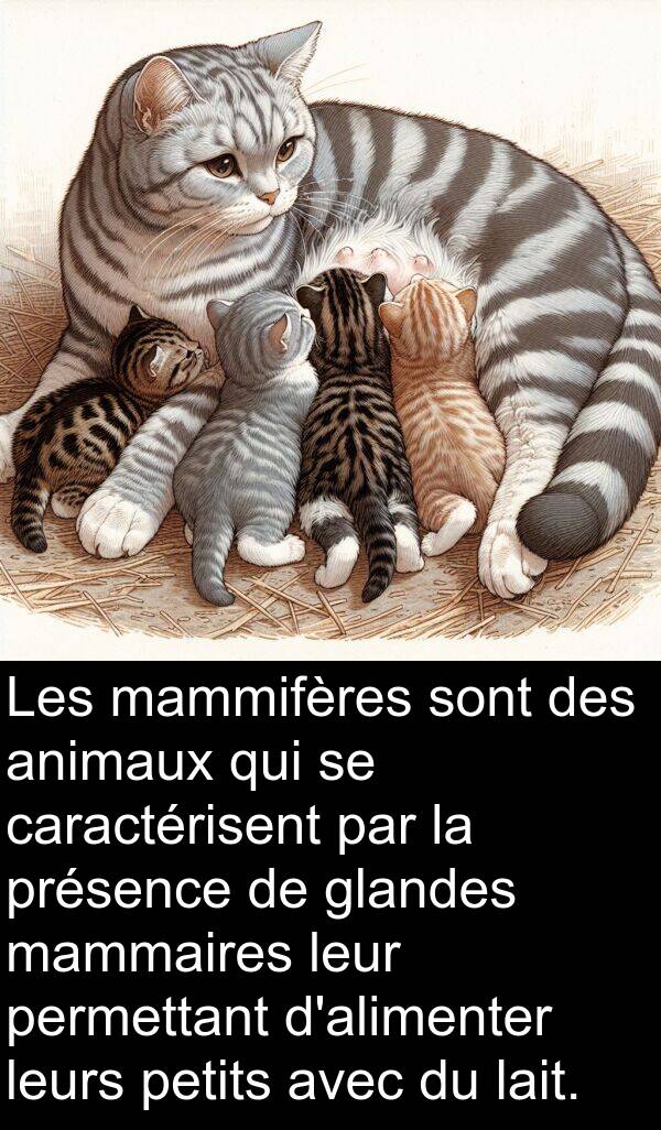 lait: Les mammifères sont des animaux qui se caractérisent par la présence de glandes mammaires leur permettant d'alimenter leurs petits avec du lait.