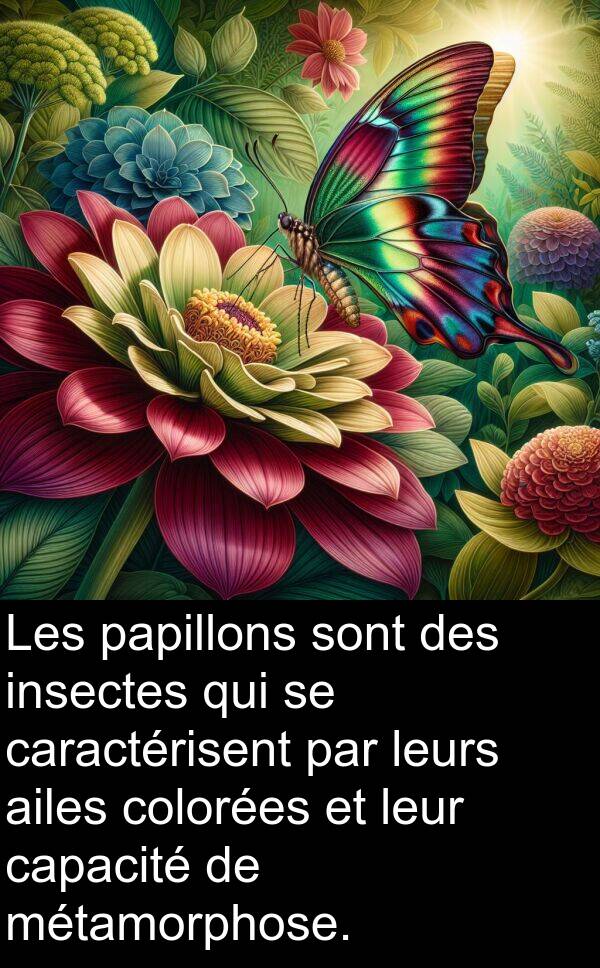 leurs: Les papillons sont des insectes qui se caractérisent par leurs ailes colorées et leur capacité de métamorphose.