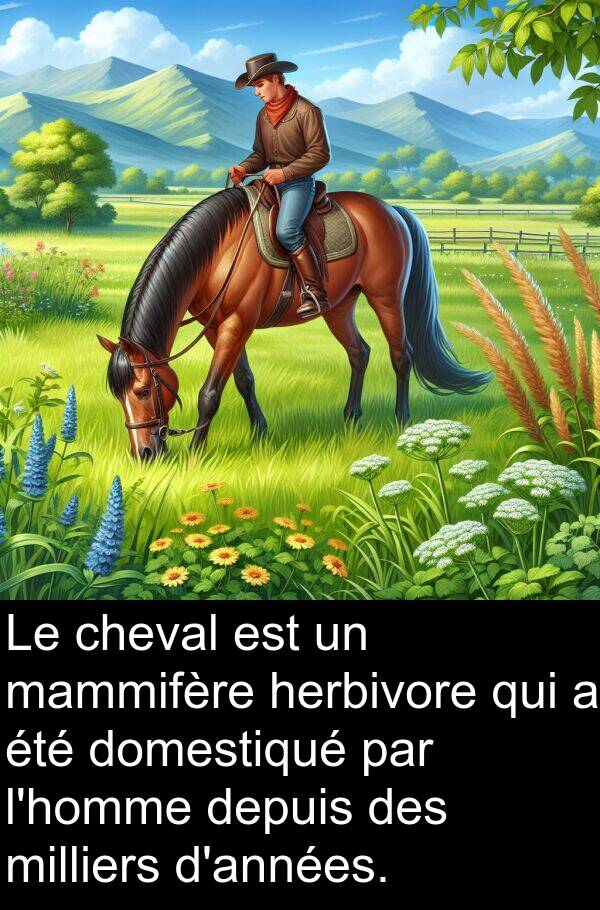 herbivore: Le cheval est un mammifère herbivore qui a été domestiqué par l'homme depuis des milliers d'années.
