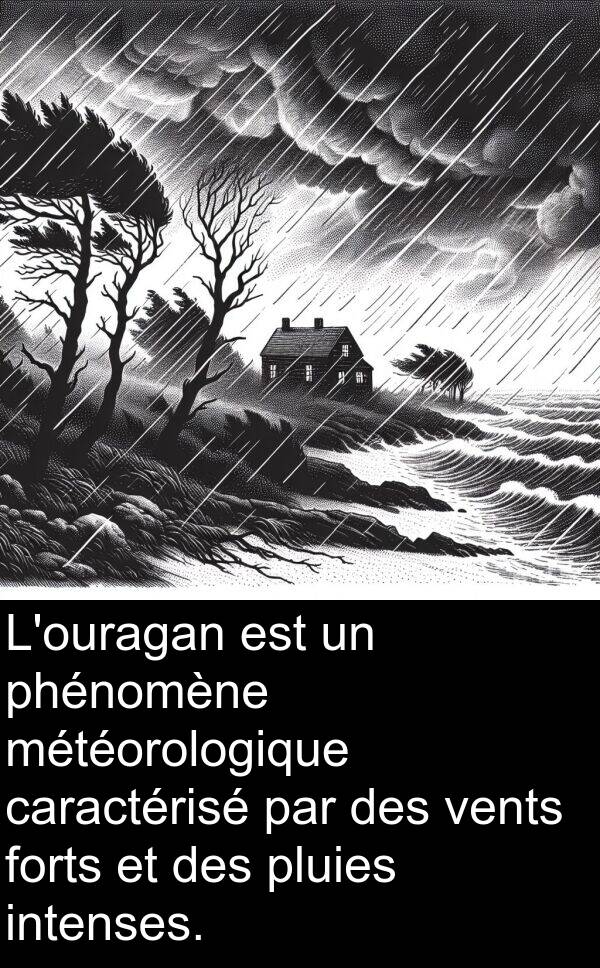 météorologique: L'ouragan est un phénomène météorologique caractérisé par des vents forts et des pluies intenses.