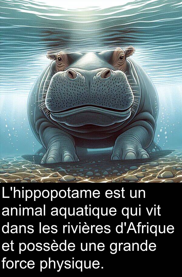 force: L'hippopotame est un animal aquatique qui vit dans les rivières d'Afrique et possède une grande force physique.