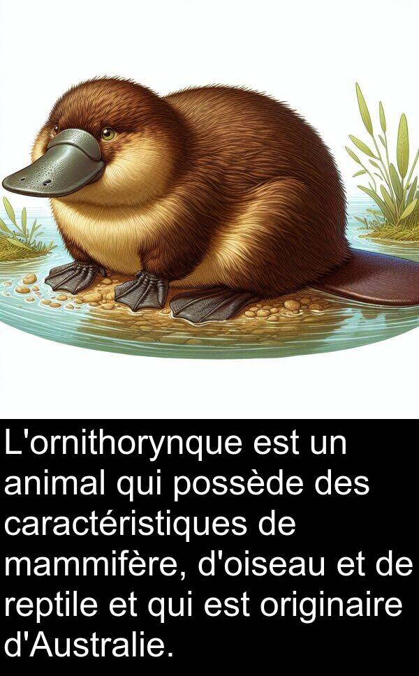 reptile: L'ornithorynque est un animal qui possède des caractéristiques de mammifère, d'oiseau et de reptile et qui est originaire d'Australie.