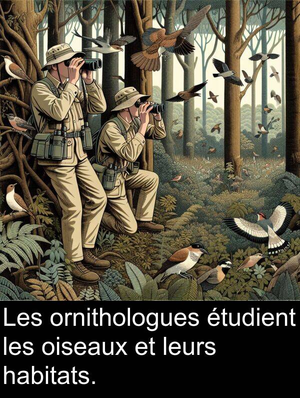 leurs: Les ornithologues étudient les oiseaux et leurs habitats.