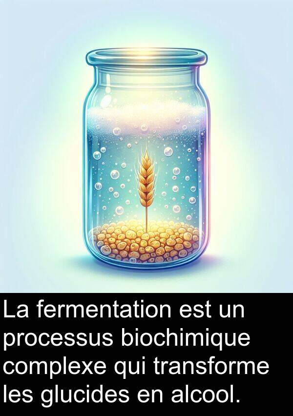 fermentation: La fermentation est un processus biochimique complexe qui transforme les glucides en alcool.