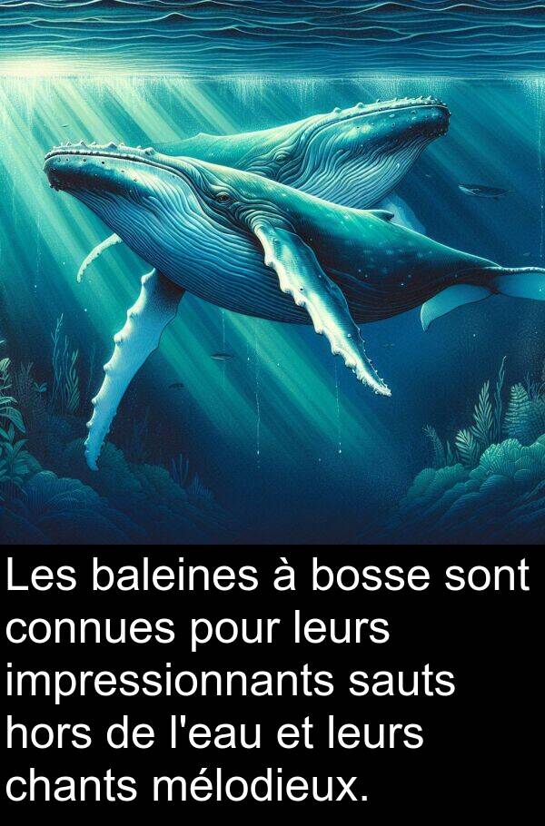 leurs: Les baleines à bosse sont connues pour leurs impressionnants sauts hors de l'eau et leurs chants mélodieux.