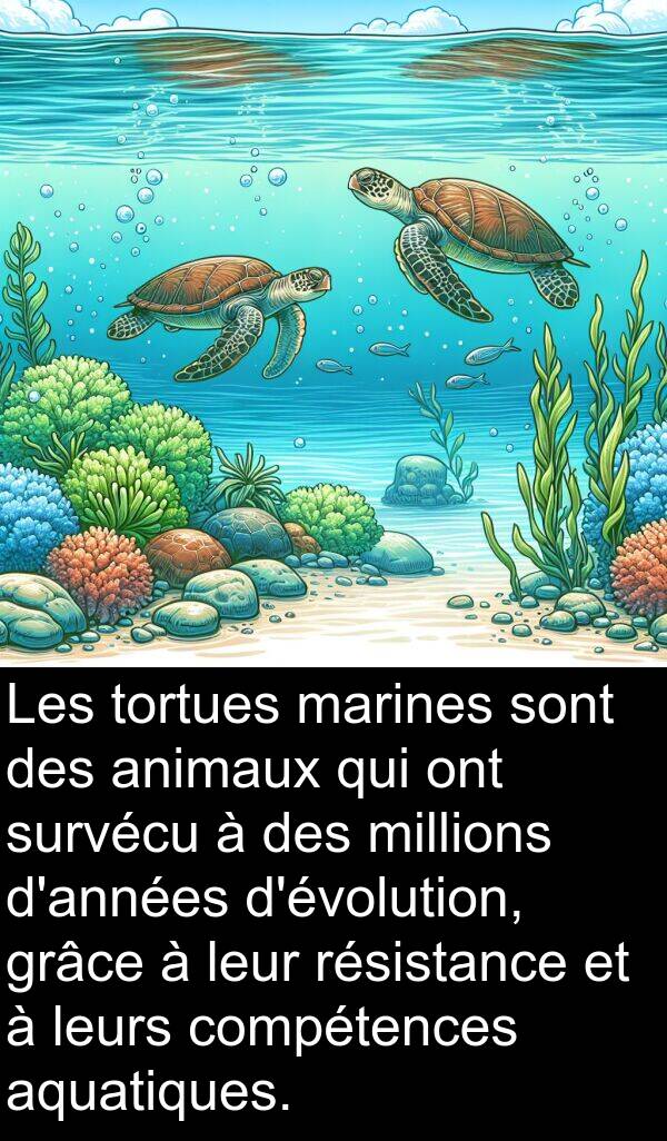 compétences: Les tortues marines sont des animaux qui ont survécu à des millions d'années d'évolution, grâce à leur résistance et à leurs compétences aquatiques.