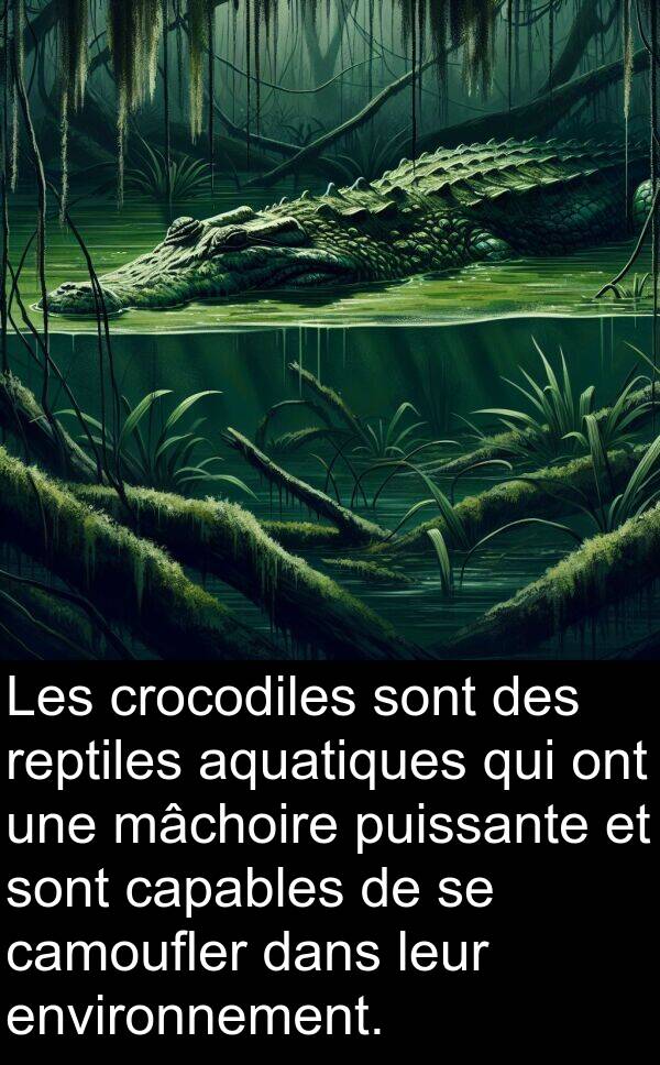 reptiles: Les crocodiles sont des reptiles aquatiques qui ont une mâchoire puissante et sont capables de se camoufler dans leur environnement.