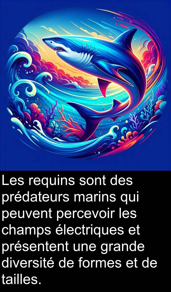 tailles: Les requins sont des prédateurs marins qui peuvent percevoir les champs électriques et présentent une grande diversité de formes et de tailles.