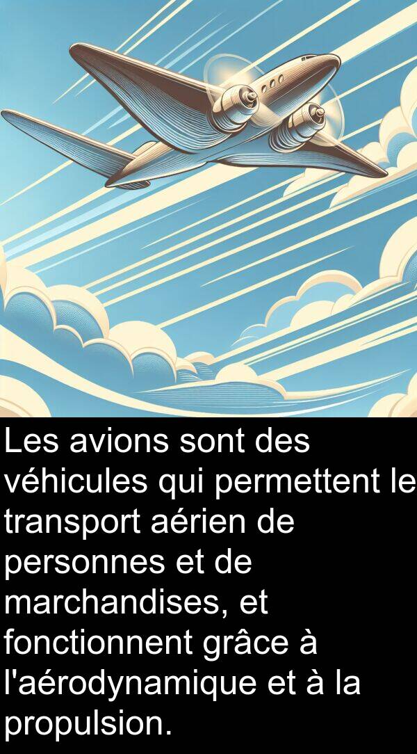 aérien: Les avions sont des véhicules qui permettent le transport aérien de personnes et de marchandises, et fonctionnent grâce à l'aérodynamique et à la propulsion.