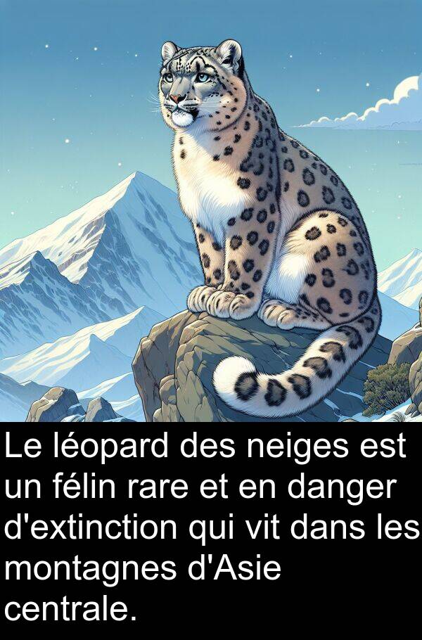 léopard: Le léopard des neiges est un félin rare et en danger d'extinction qui vit dans les montagnes d'Asie centrale.