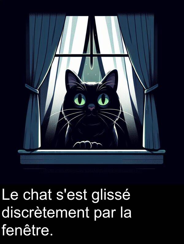 glissé: Le chat s'est glissé discrètement par la fenêtre.