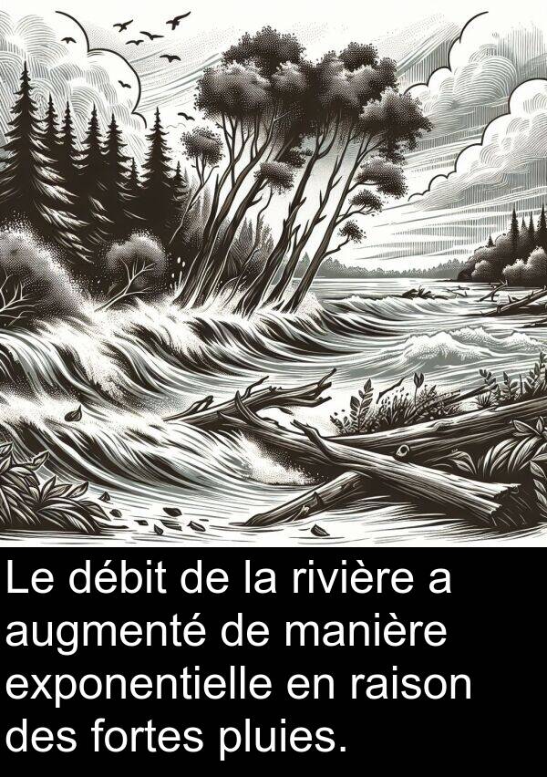 débit: Le débit de la rivière a augmenté de manière exponentielle en raison des fortes pluies.