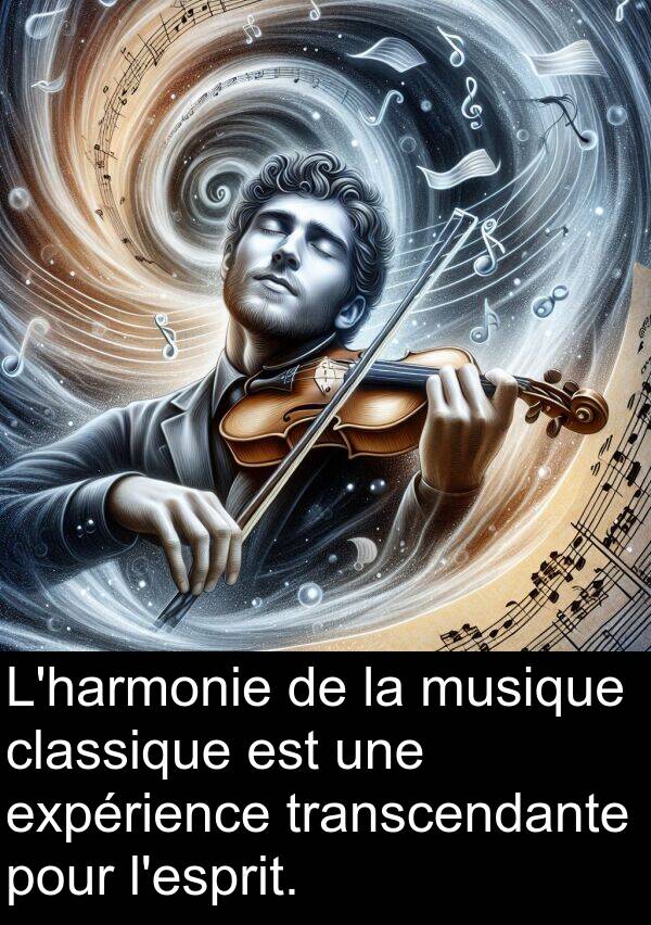 expérience: L'harmonie de la musique classique est une expérience transcendante pour l'esprit.